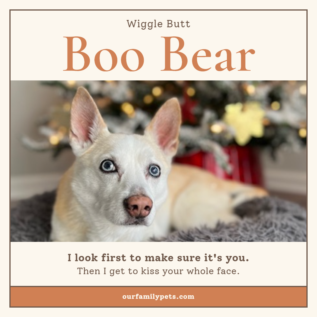 Boo Bear’s Wiggle Butt character card, featuring her photo
